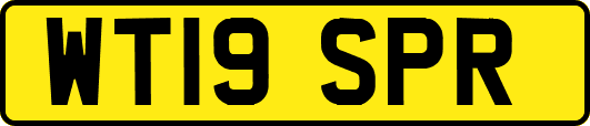 WT19SPR