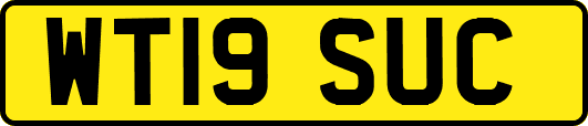 WT19SUC