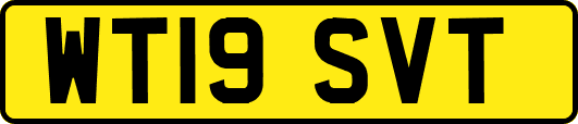 WT19SVT