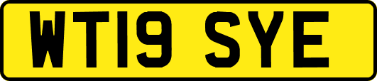WT19SYE
