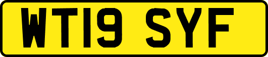 WT19SYF