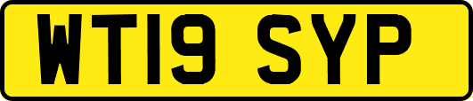 WT19SYP