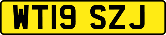 WT19SZJ