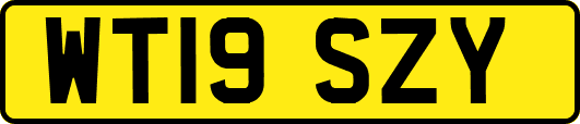 WT19SZY