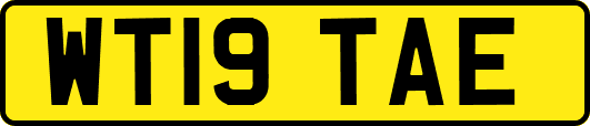 WT19TAE