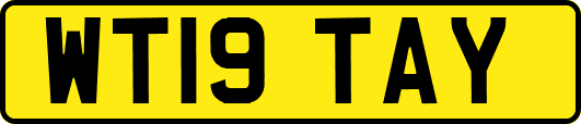 WT19TAY