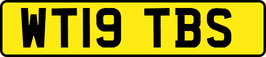 WT19TBS