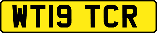 WT19TCR