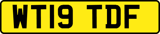 WT19TDF