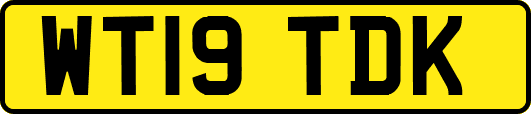 WT19TDK
