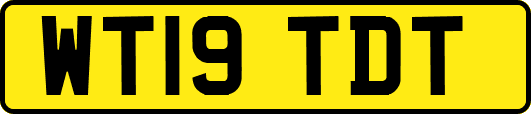 WT19TDT