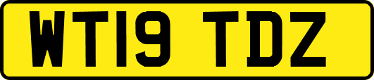 WT19TDZ