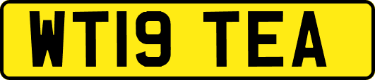 WT19TEA