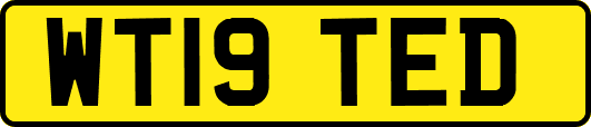 WT19TED