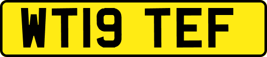 WT19TEF