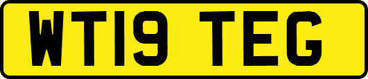 WT19TEG