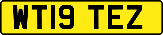 WT19TEZ