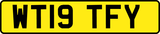WT19TFY