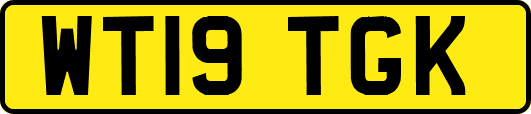 WT19TGK