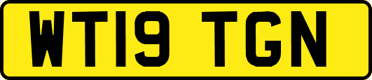 WT19TGN