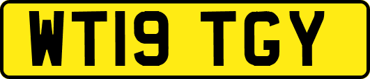 WT19TGY