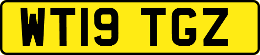 WT19TGZ