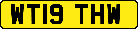 WT19THW