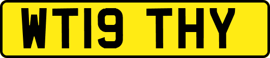 WT19THY