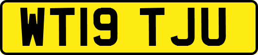 WT19TJU