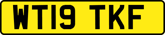 WT19TKF