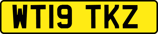 WT19TKZ