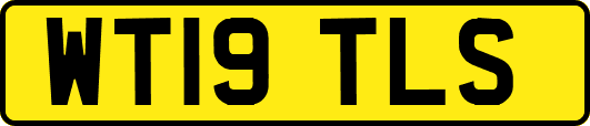 WT19TLS