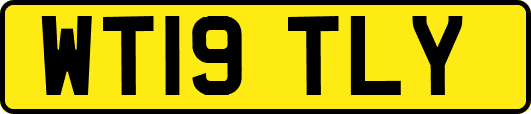 WT19TLY