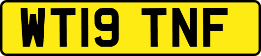 WT19TNF