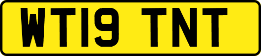 WT19TNT