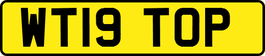 WT19TOP