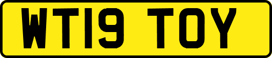WT19TOY