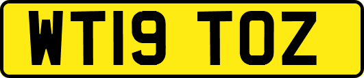 WT19TOZ