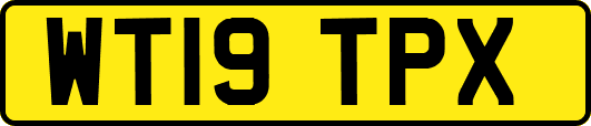 WT19TPX