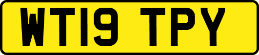 WT19TPY