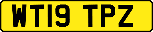 WT19TPZ