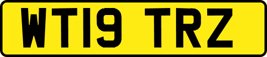 WT19TRZ