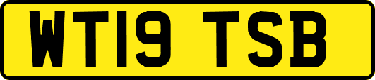 WT19TSB
