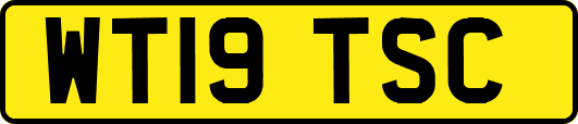 WT19TSC