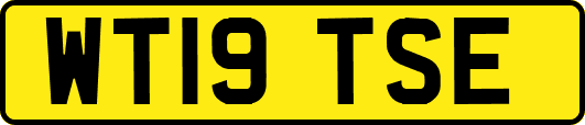 WT19TSE