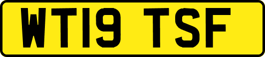WT19TSF