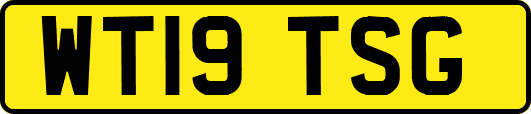 WT19TSG