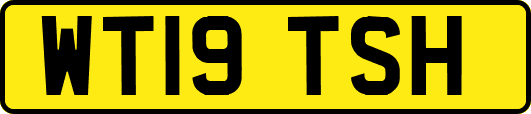 WT19TSH