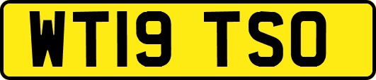 WT19TSO