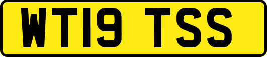 WT19TSS